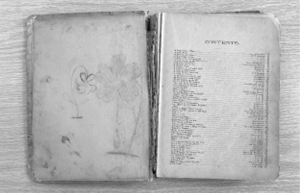 Figure 3. Marginalia within Good Times, undated, Belford, Clarke, & Co. Mangum and Latta Family Papers, North Carolina Collections, Durham Public Library.